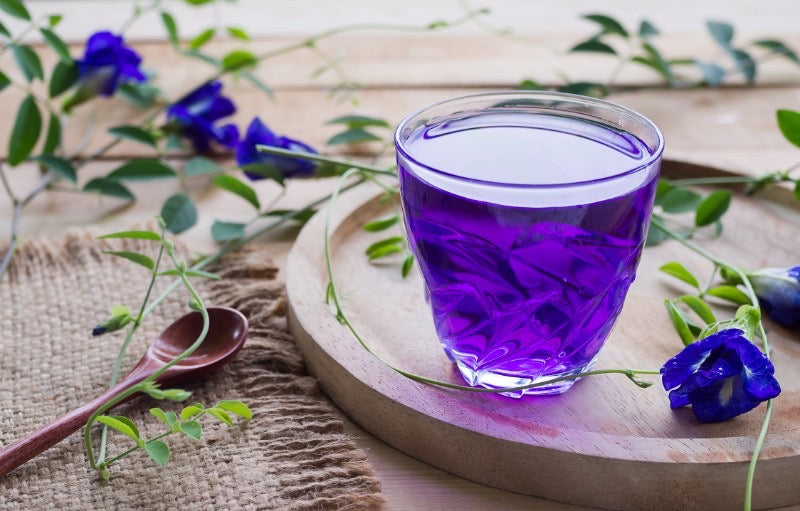 Butterfly Pea Tea