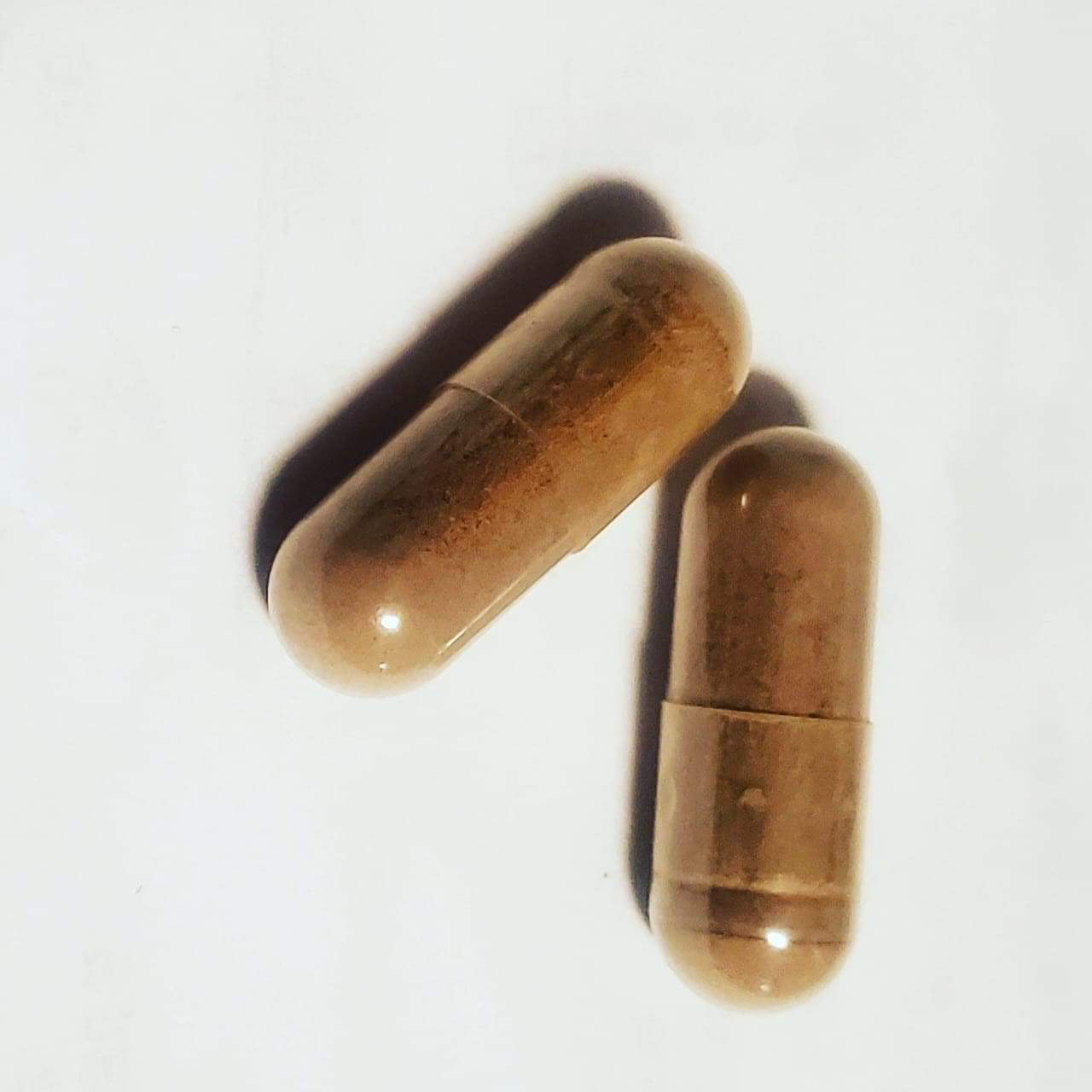 Organic Irish Sea Moss, Bladderwrack, and Burdock Root Capsules